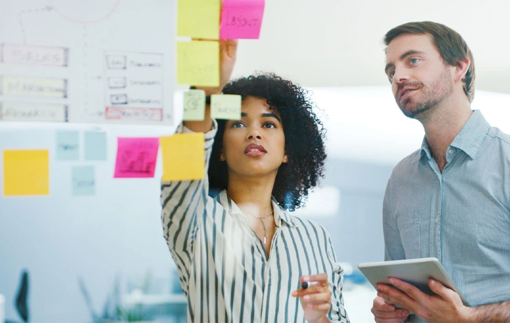 Project and Program Management
