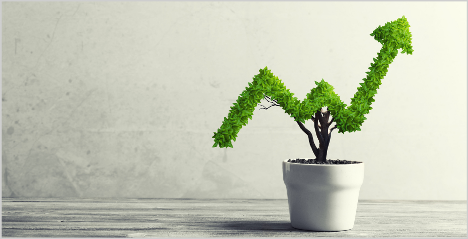 Sustainable business