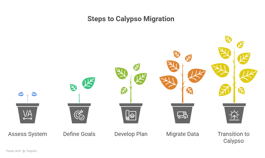 Key Calypso Migration Challenges